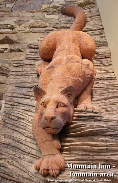 A carved sculpture of a mountain lion made from reddish stone is shown climbing downward on a textured stone wall. The mountain lion’s body is stretched out with its front paws extended and its head facing forward. Text at the bottom of the image reads “Mountain lion – Fountain area,” with a smaller caption indicating the photograph is courtesy of General Shale Brick.