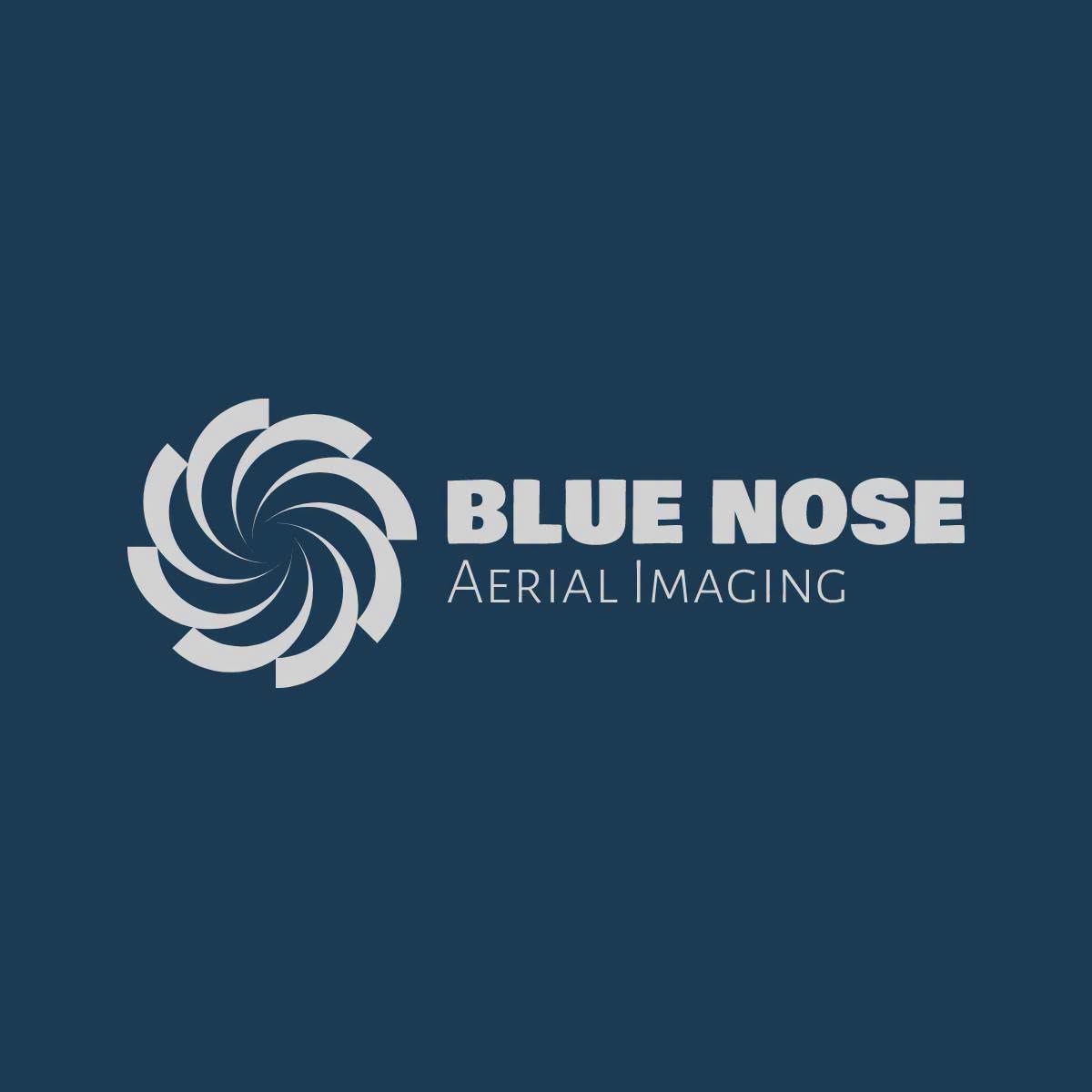 Blue Nose Aerial of Southwest Logo